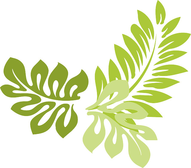 Gloriosa lutea - Gul Klnglilja - fr kp hos Plantanica webbutik