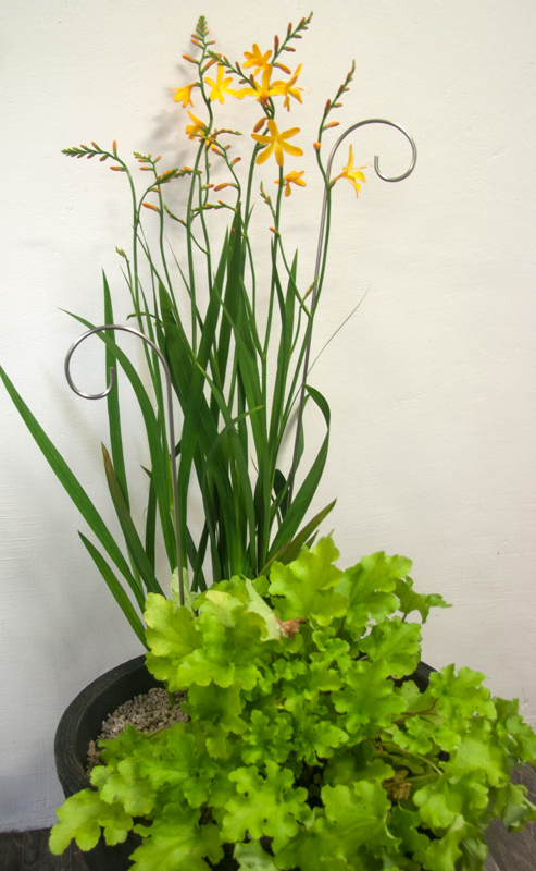 Blompinne Robust no 1 rostfri kp hos Plantanica webbutik