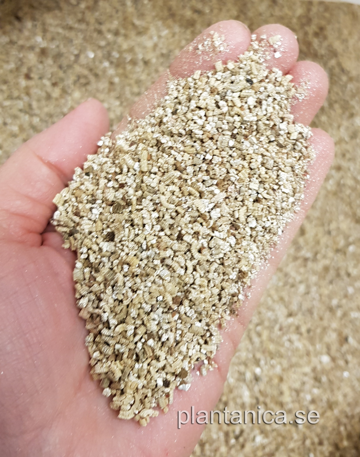 Vermiculite fin - 3 liter kp hos Plantanica webbutik
