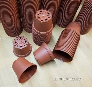 Kruka 7 cm rund terracotta plast - 20 pack köp hos Plantanica webbutik