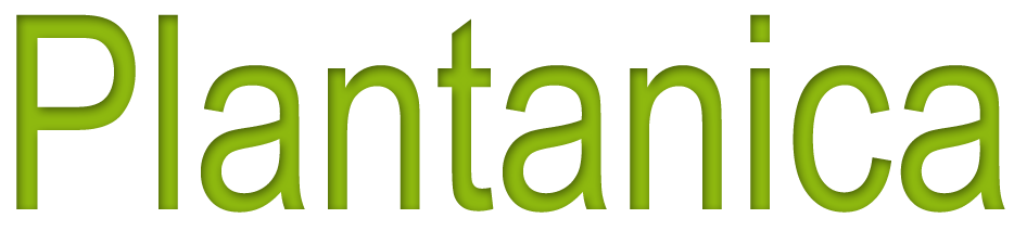 Plantanica logo