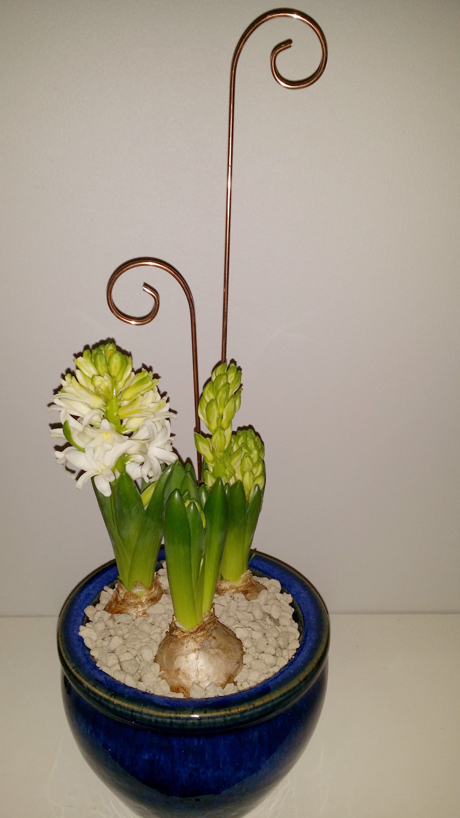 Spiry blompinne set 4-pack kopparfärgad köp hos Plantanica webbutik